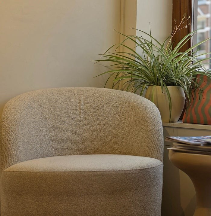 Zachte fauteuil met een plant bij het raam